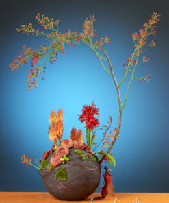Free Style Arrangement by Jacqueline Boerma