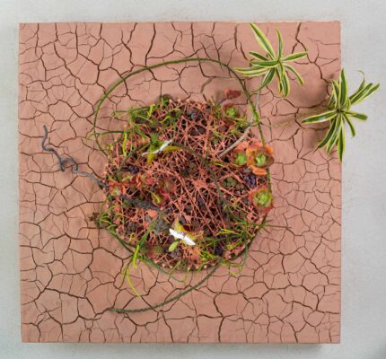 Texture Forward Wall Design by Frédéric Dupré