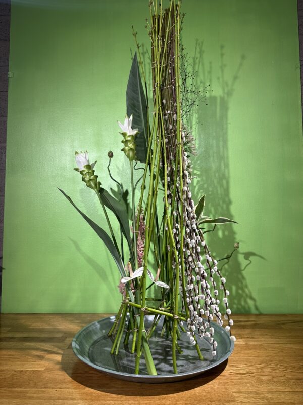 Afbeelding #1 van Liesbeth Zaat